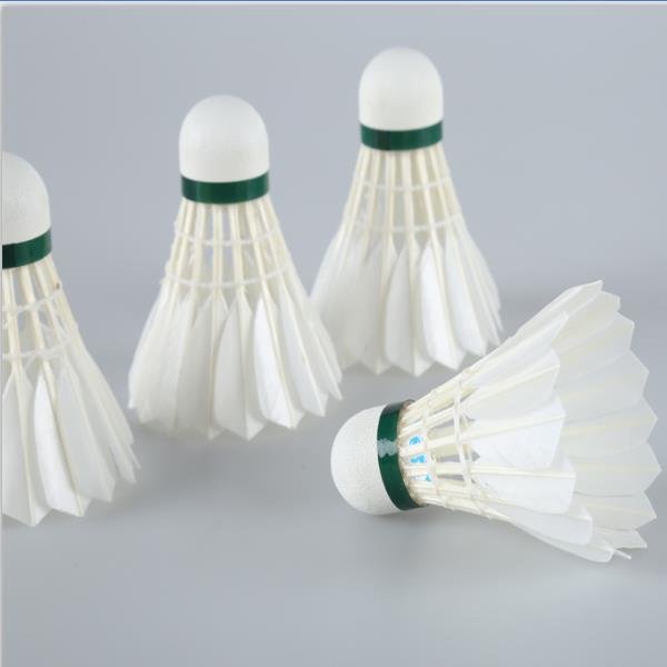 Cheap Badminton Shuttlecock
