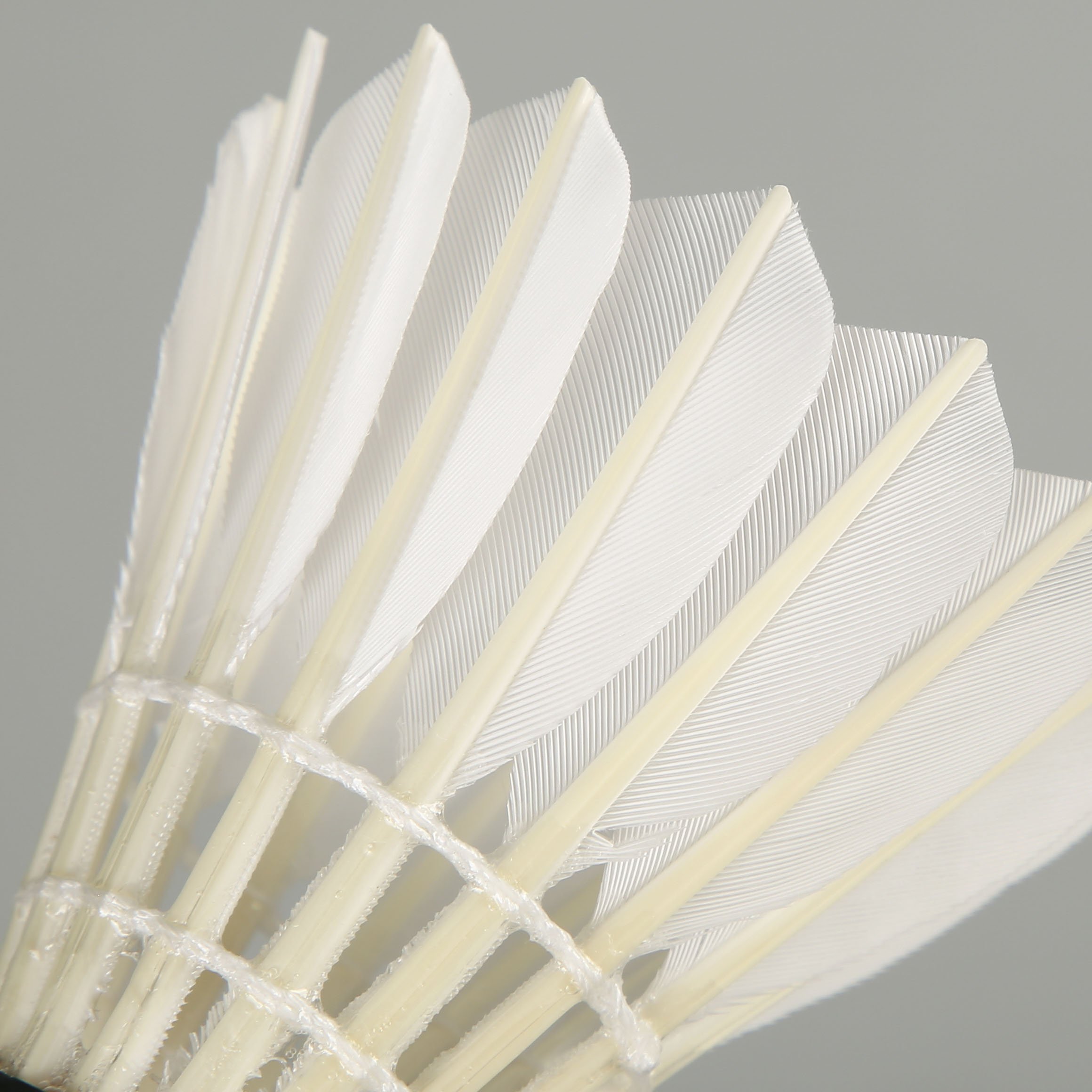 Lingmei 10 pro Factory supply stable training white goose badminton shuttle cock