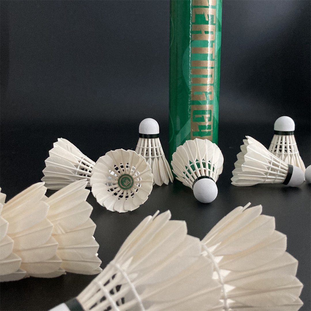 Outdoor Indoor Sports Badminton Shuttlecocks Shuttle Badminton