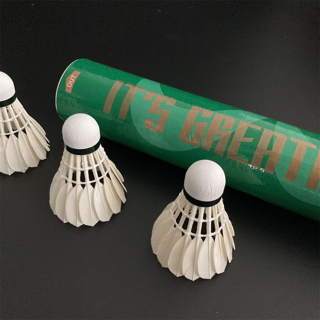 Outdoor Indoor Sports Badminton Shuttlecocks Shuttle Badminton