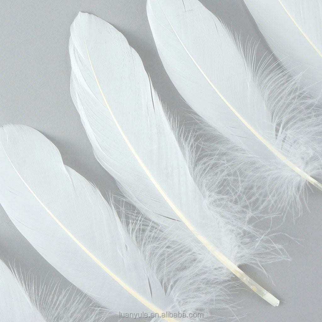 Top Quality Duck Feather Shuttlecock Natural Pure White Duck Feather for Shuttlecock