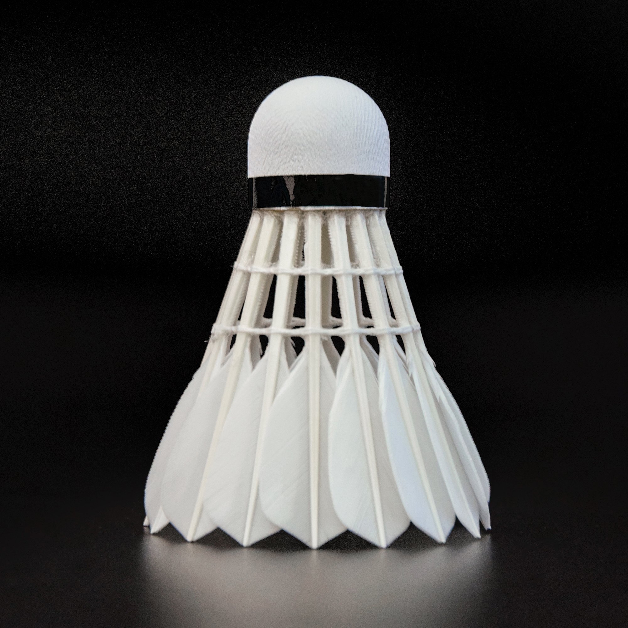 International Competition Class A Goose Feather Badminton Shuttlecock Professional Professional