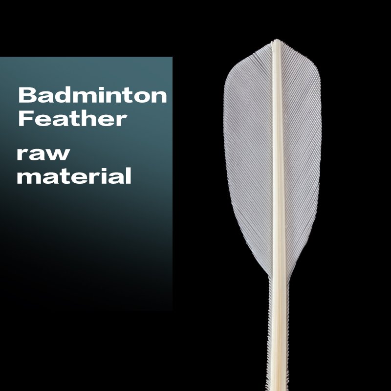 Best Selling Professional Class a Badminton Shuttlecocks Durable Duck Feather with Cork PU Head OEM Training Support