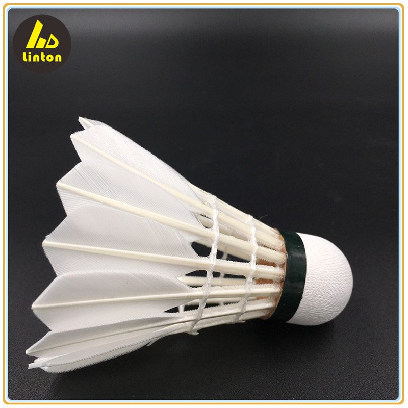 Goose feather as protech in Malaysia durable badminton shuttlecock