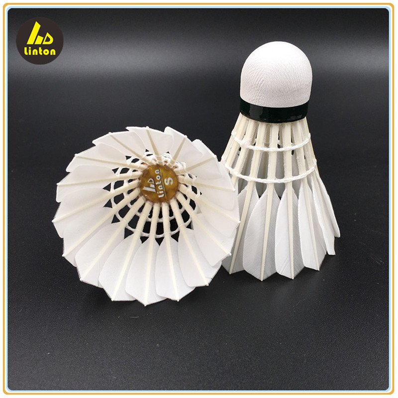 Goose feather as protech in Malaysia durable badminton shuttlecock
