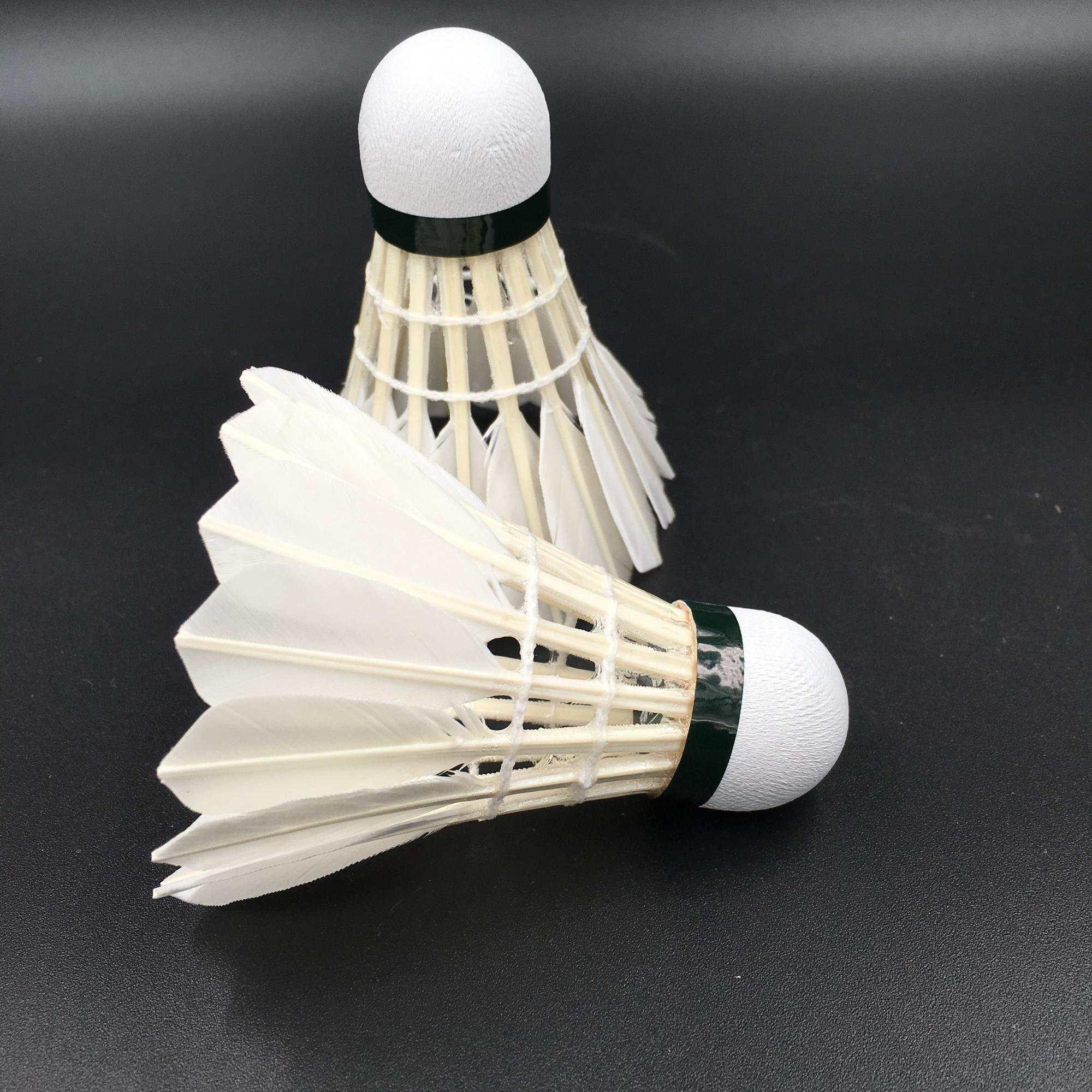 Linton NO.6 China shuttlecock badminton for club training