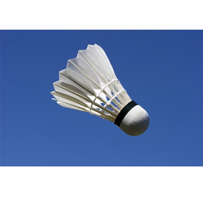 Wholesale Brand Durable Goose Feather Badminton Shuttlecocks Lingmei 10