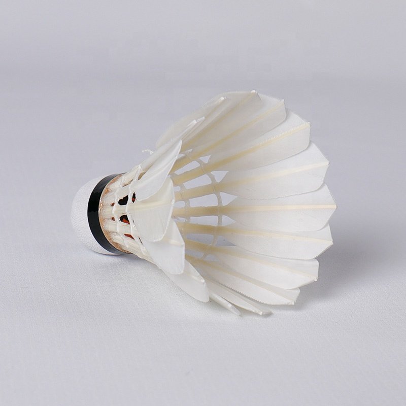 Sports Brand Wholesale 12pcs Outdoor Aeroplane Badminton Large Tube Fast Speed Shuttlecock For Training
