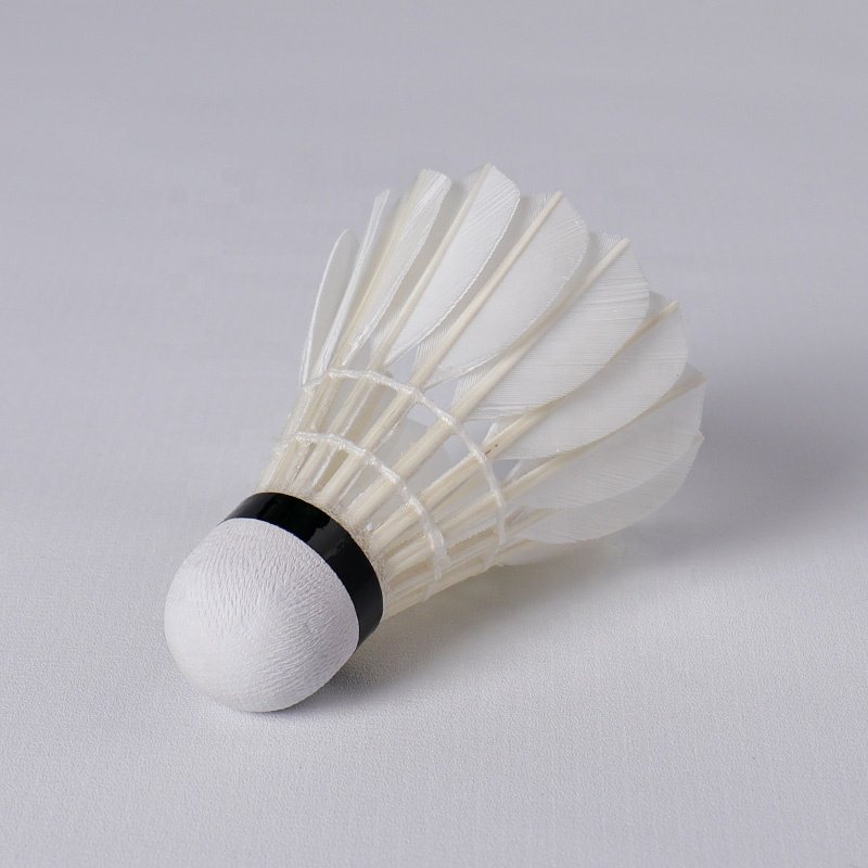 Sports Brand Wholesale 12pcs Outdoor Aeroplane Badminton Large Tube Fast Speed Shuttlecock For Training