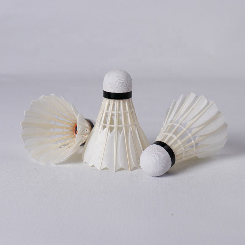 Sports Brand Wholesale 12pcs Outdoor Aeroplane Badminton Large Tube Fast Speed Shuttlecock For Training
