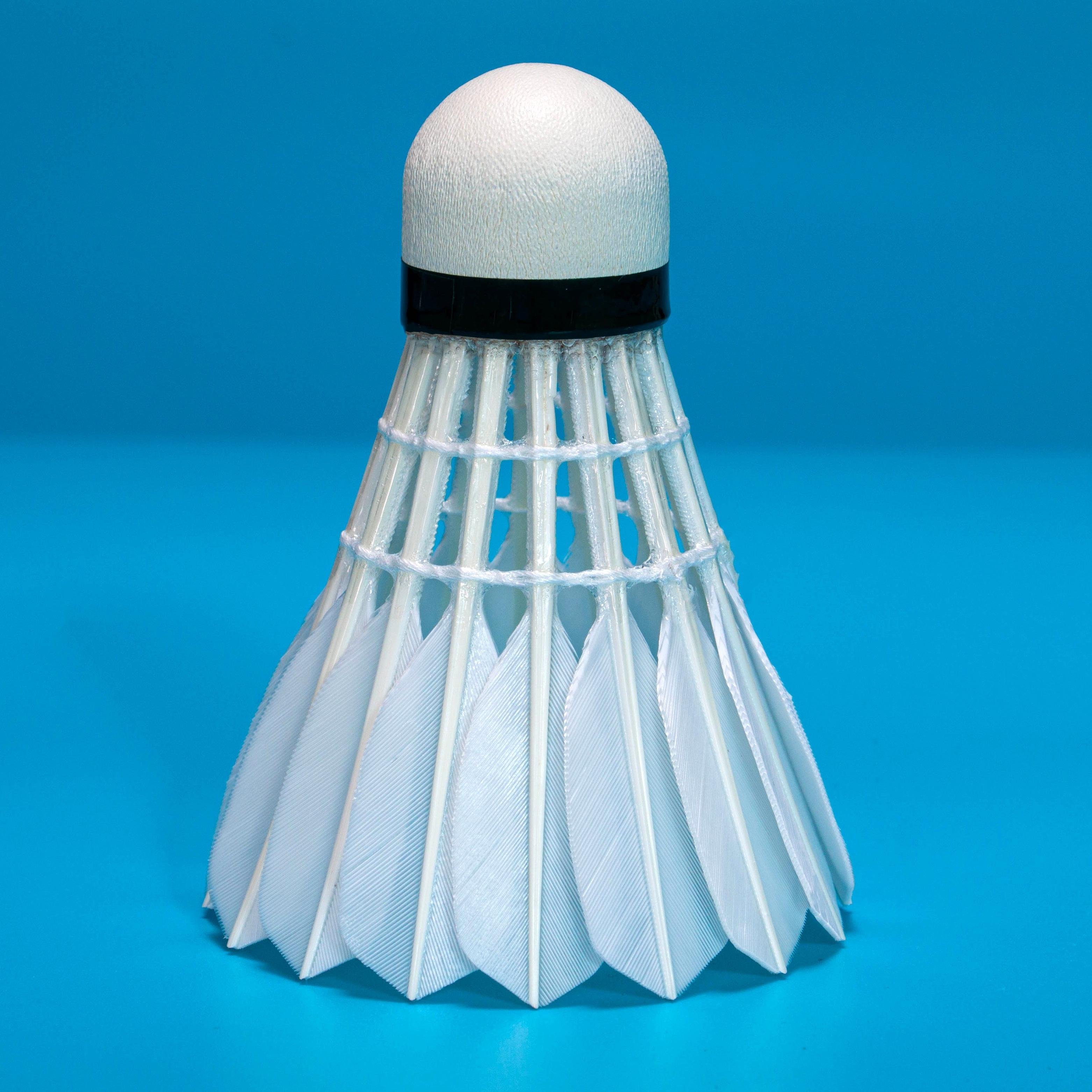 Lingmei class A badminton shuttlecock LINGMEI PRACTICE