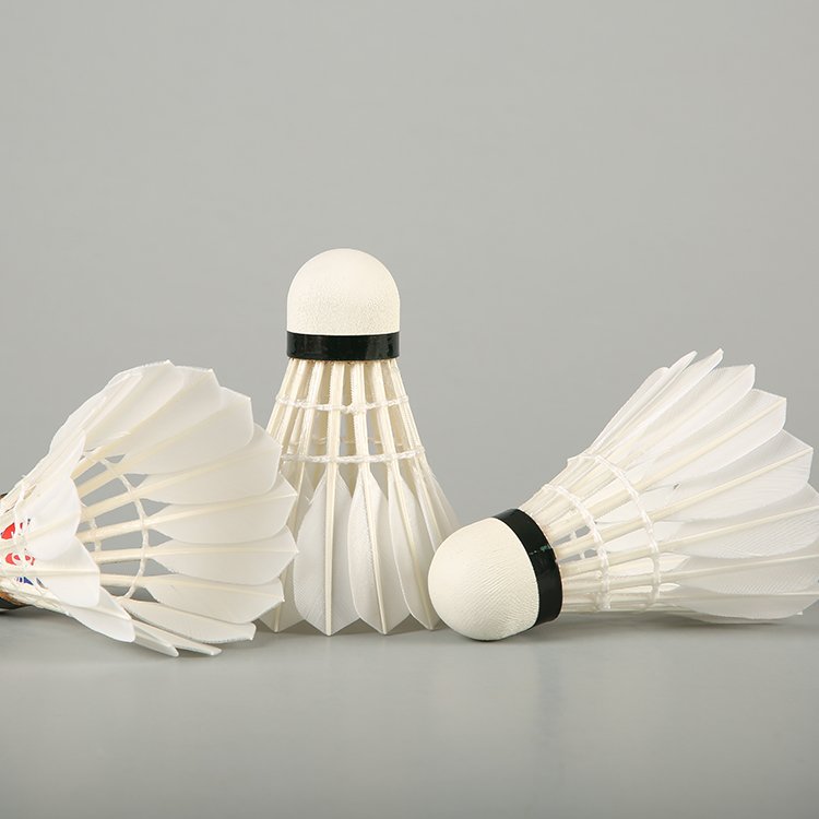Goose Feather Badminton Shuttles, Badminton Ball Shuttlecock