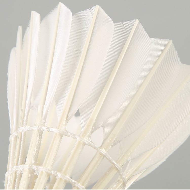 Goose Feather Badminton Shuttles, Badminton Ball Shuttlecock