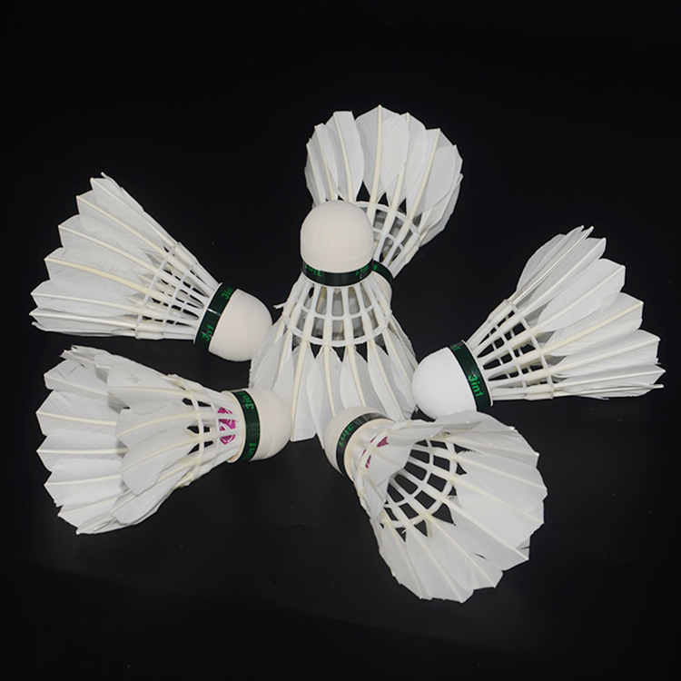 Cheap EVA Ball Head 3in1 Badminton Feather Shuttlecock for Outdoor Backyard Game and Baseball Batting Training, Durable