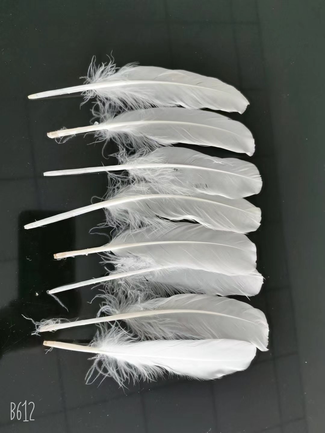 Duck Feather for Badminton Shuttlecock Factory Directly Shipping to Indonesia/Vietam