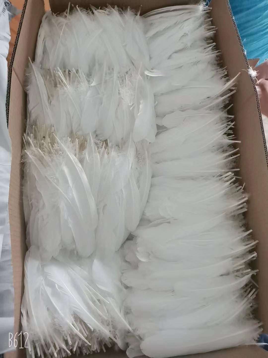 Duck Feather for Badminton Shuttlecock Factory Directly Shipping to Indonesia/Vietam