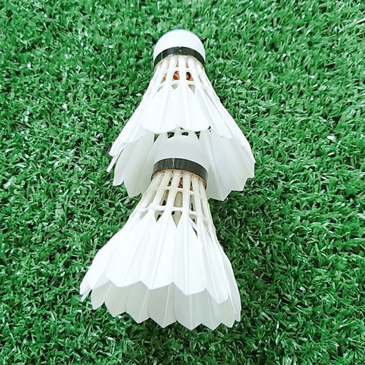2023 aeroplane black label eg1130 goose feather shuttlecocks