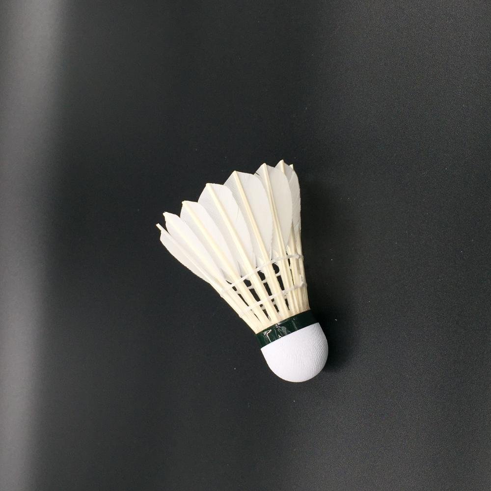 Good Selling Nature Straighten Goose Curved Feather Shuttlecock Badminton At Hefei Anhui