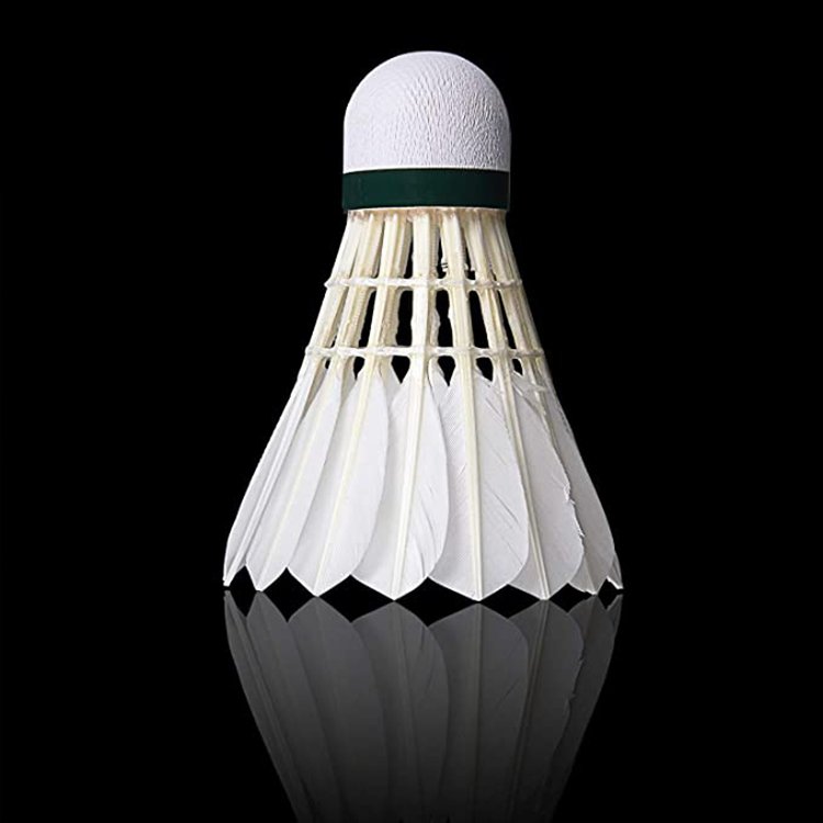 2024 Hot Sales Goose Shuttlecock Cheap High Quality Best Price Factory Direct Wholesale for Training and Playing