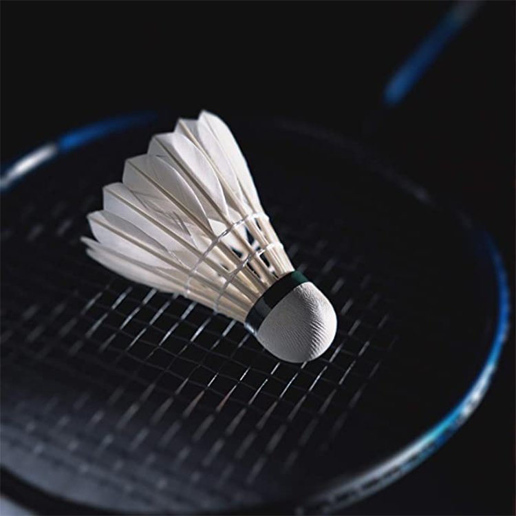 2024 Hot Sales Goose Shuttlecock Cheap High Quality Best Price Factory Direct Wholesale for Training and Playing