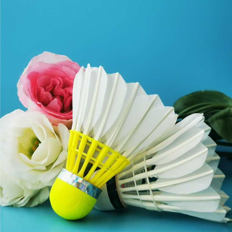 Dmantis Durable Goose Feather Tournament Shuttlecock Badminton Shuttlecock 3in1 Speed 74/75/76/77/78 Badminton Ball