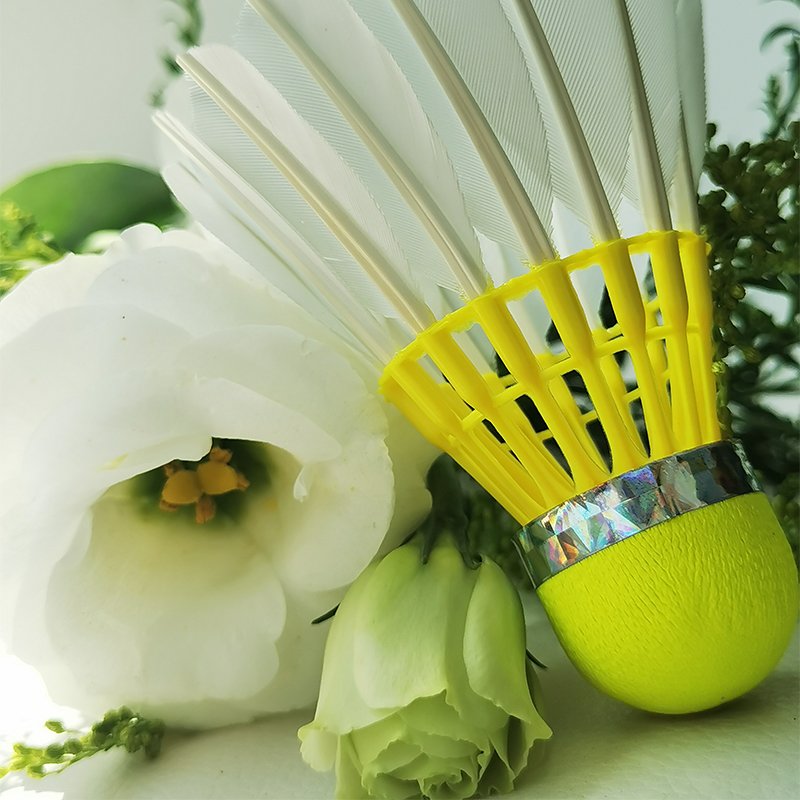 Dmantis Durable Goose Feather Tournament Shuttlecock Badminton Shuttlecock 3in1 Speed 74/75/76/77/78 Badminton Ball