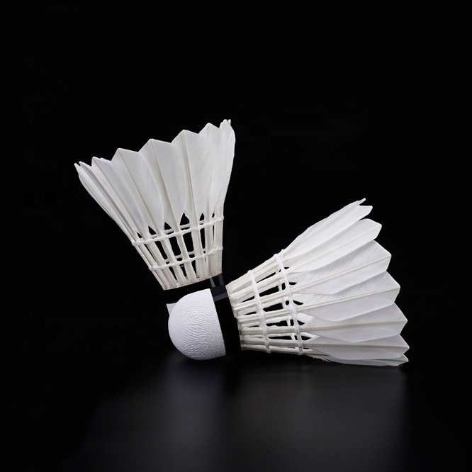 Club Training Purpose of High Quality No.5 Badminton OEM Service speed 77