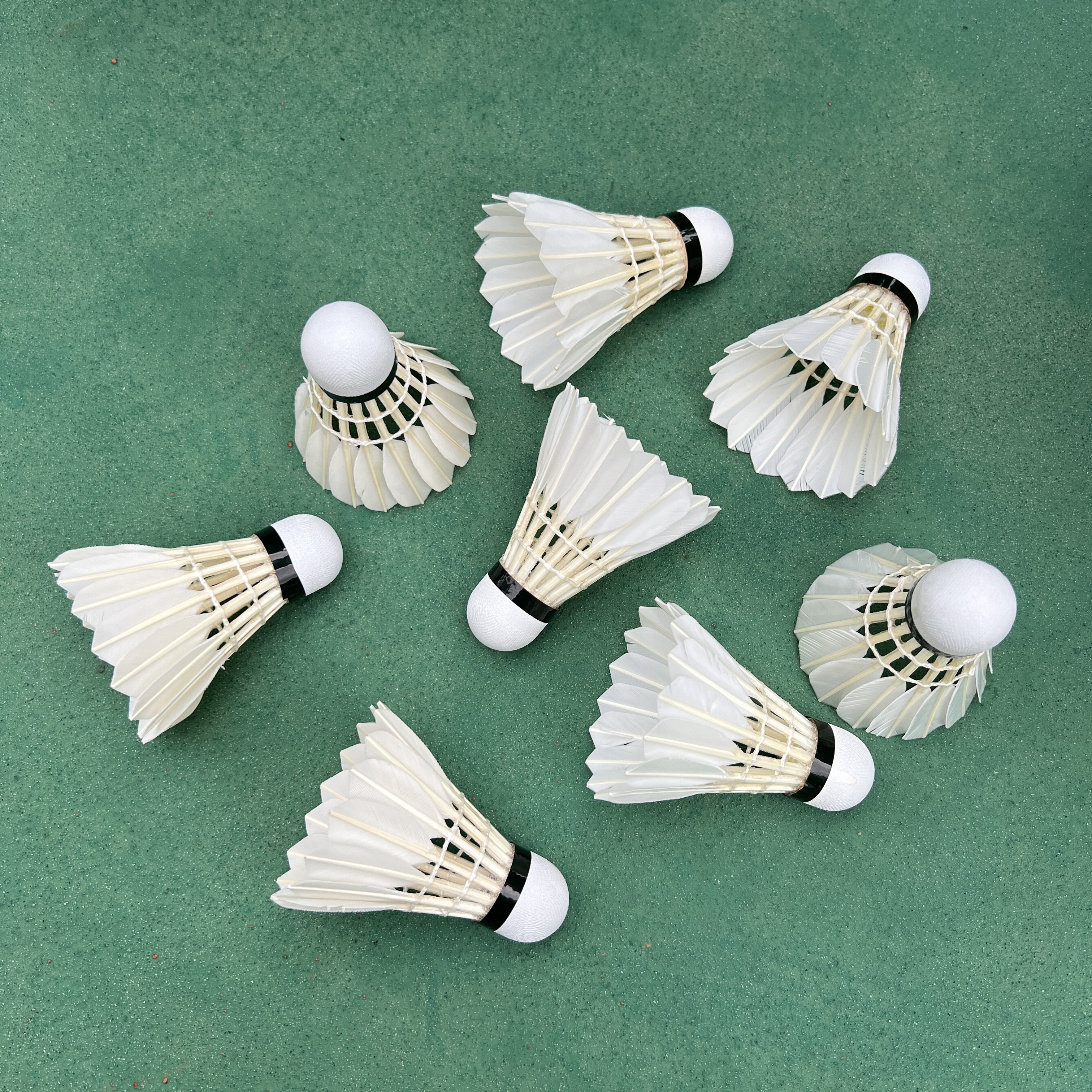 Duck feather for Shuttle cock shuttlecock with cheap price