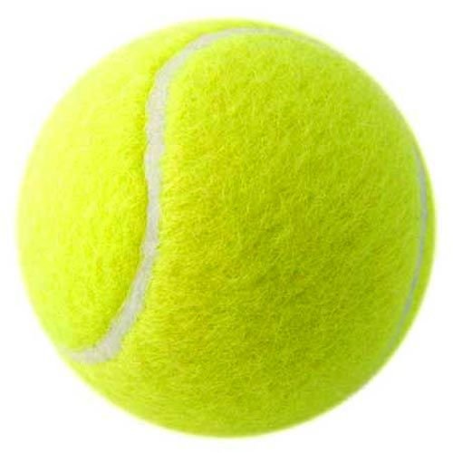 High Quality Pressurized Training Cricket Tennis Padel Ball Best Quality Tennis Balls