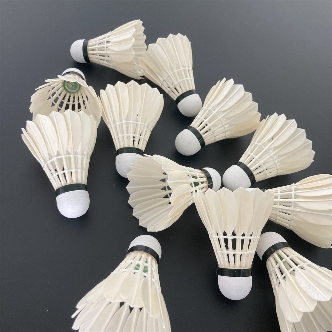 Advanced Goose Feather Customize Top Grade All-round Badminton Birdie 12-Pack Professional Badminton Shuttlecocks