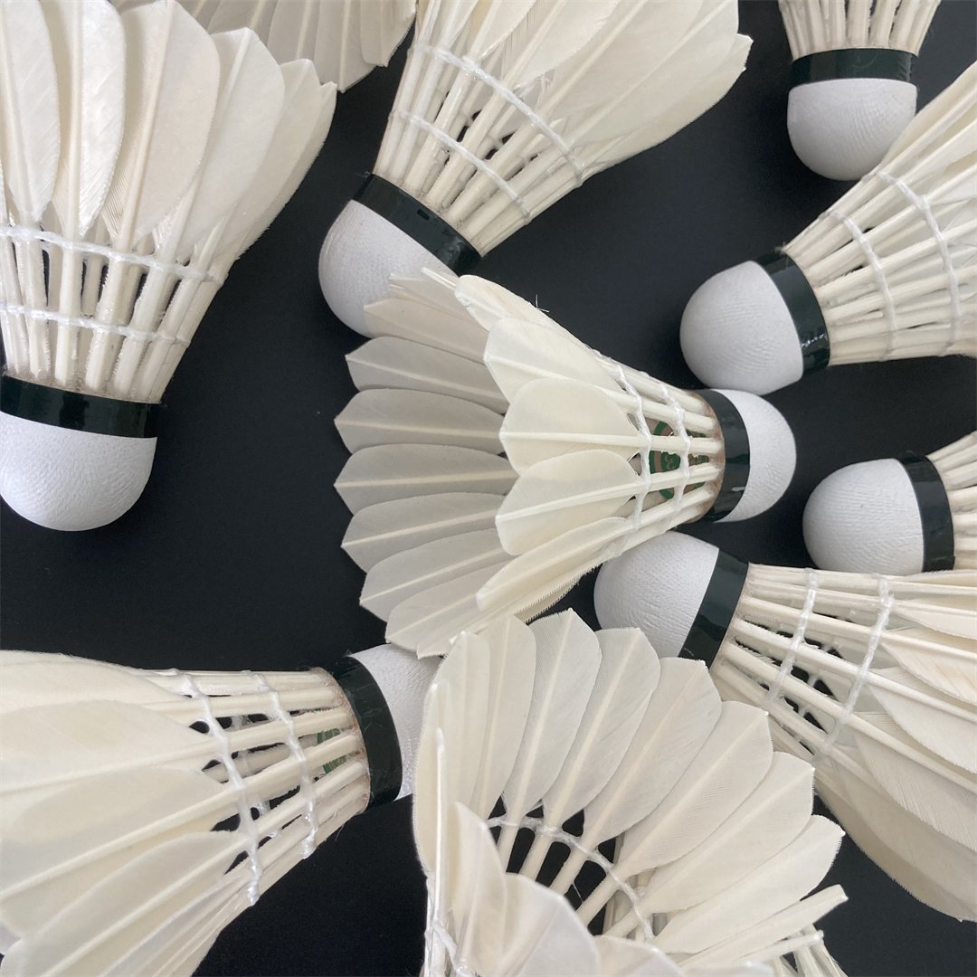 Advanced Goose Feather Customize Top Grade All-round Badminton Birdie 12-Pack Professional Badminton Shuttlecocks