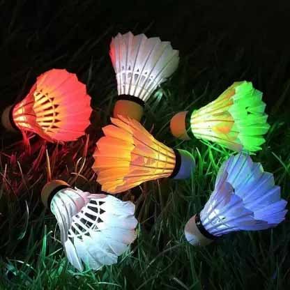 Lenwave Brand Cheap Price Recreation Badminton Shuttle Cock White Sea Head Feather Logo Enterprise Duck Cork Air Color Class MOQ