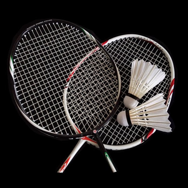 DunRun High Quality Wholesale Professional Durable Custom Brand Goose feather Tournament Grade Badminton Shuttlecock
