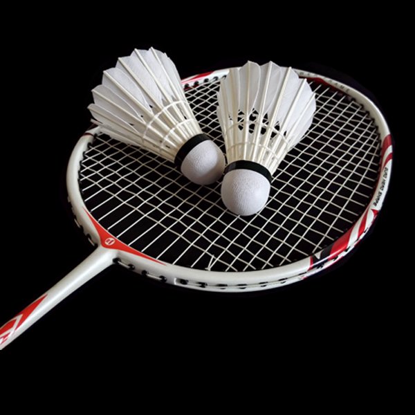 DunRun High Quality Wholesale Professional Durable Custom Brand Goose feather Tournament Grade Badminton Shuttlecock