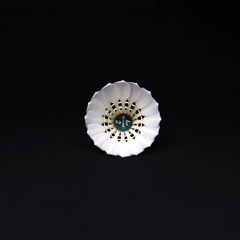 Hot sale professional international tournament duck feather designer shuttlecock badminton