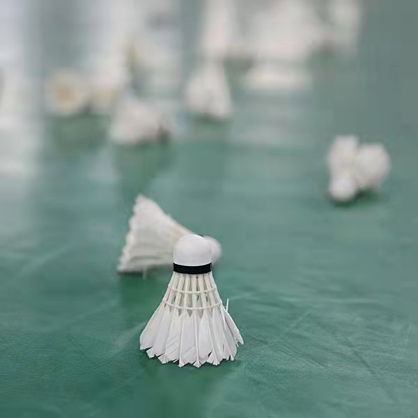 Shuttlecock Badminton for Training Shettle Bats Badminton