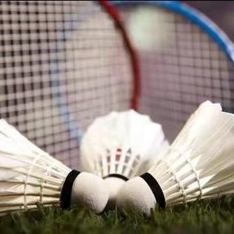 Shuttlecock Badminton for Training Shettle Bats Badminton
