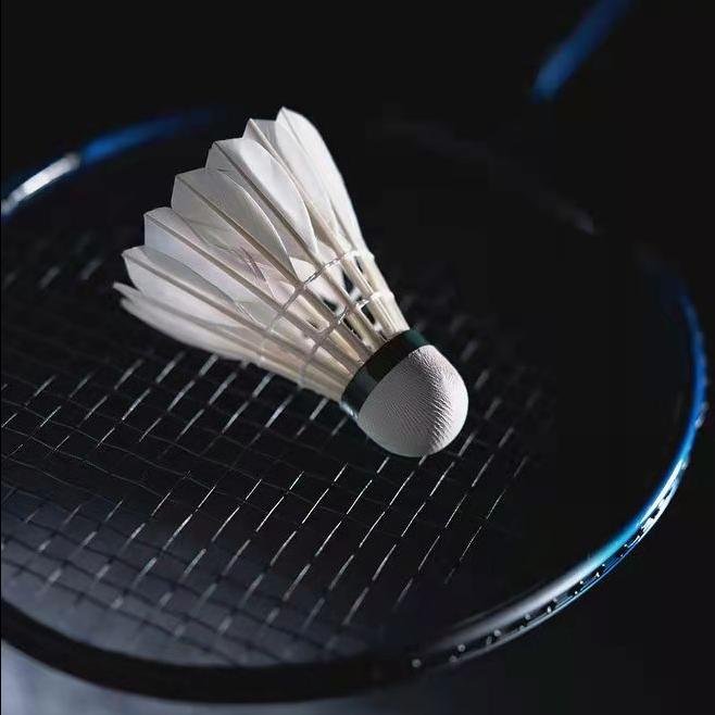 Shuttlecock Badminton for Training Shettle Bats Badminton