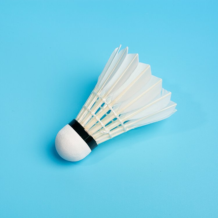 TCX-ACE Model Shuttlecock Similar to Aeroplane Eg1130 Black Label Class a Goose Feather Badminton Shuttlecock