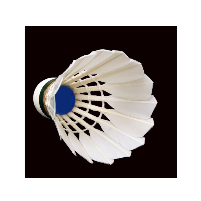 Promotion OEM Badminton Ball Cheap Wholesale Goose Feather shuttlecock Durable Gymnasium Use Composite Cork Cau Long