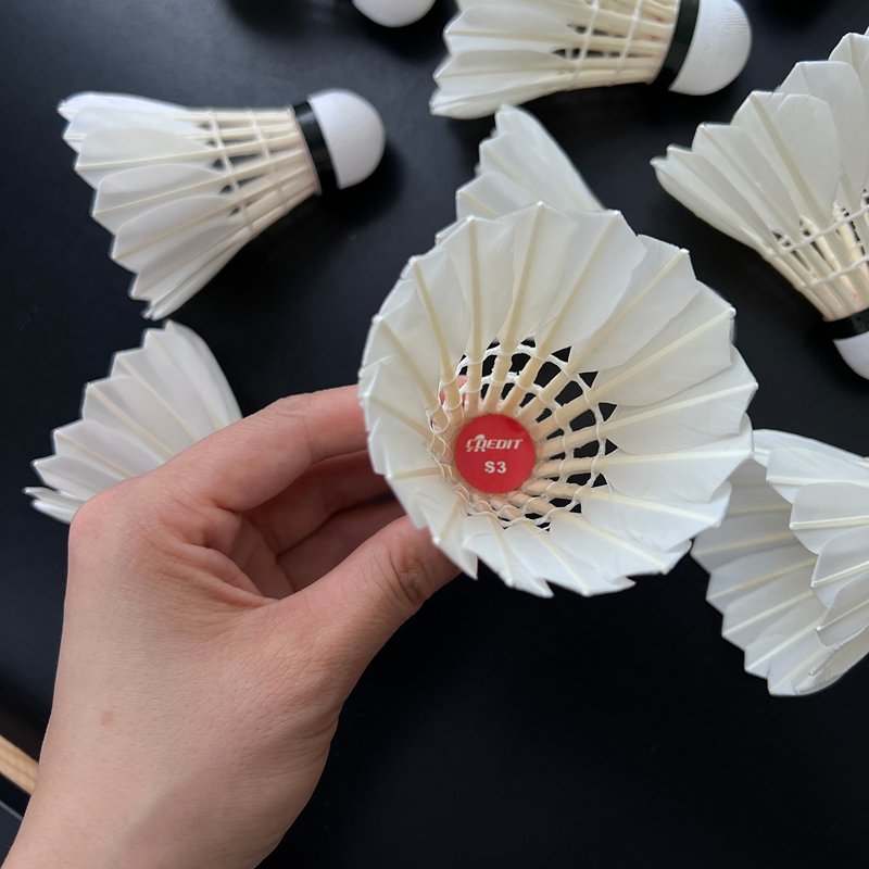 Factory Directly Supply High quality Good Appearance Duck Feather Shuttlecock Badminton