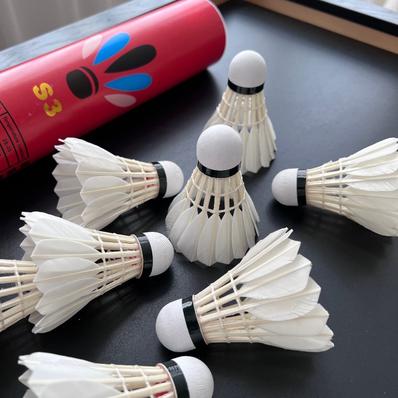 Factory Directly Supply High quality Good Appearance Duck Feather Shuttlecock Badminton