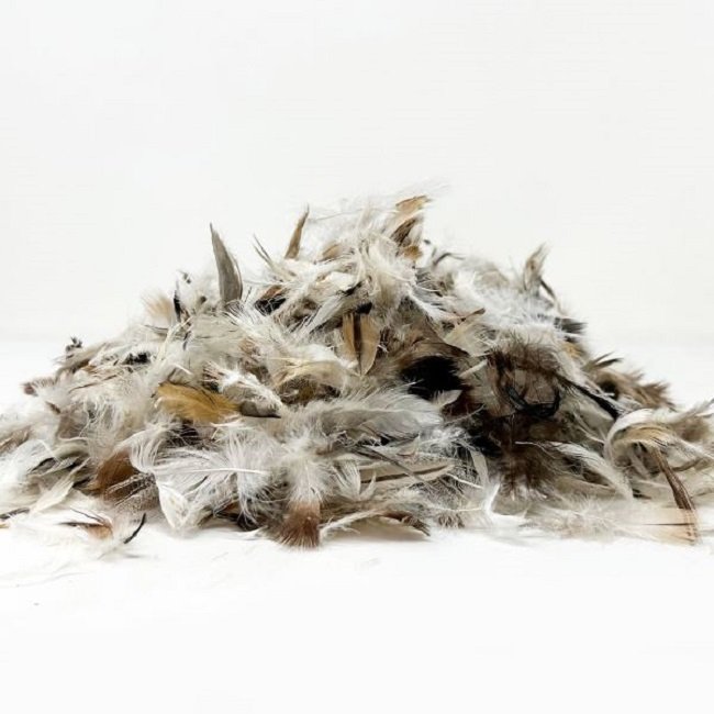 Wholesale Duck Feather For Party Festival Craft Decoration Duck Feather For Duvet Pillow Cushion Filling Material