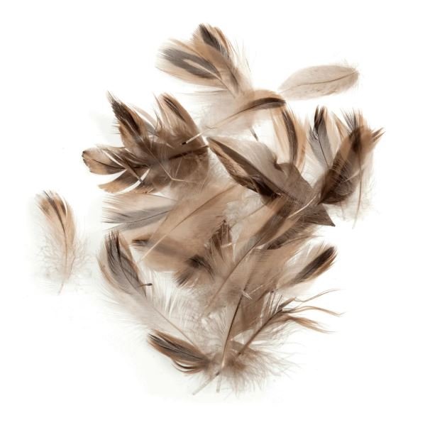 Wholesale Duck Feather For Party Festival Craft Decoration Duck Feather For Duvet Pillow Cushion Filling Material