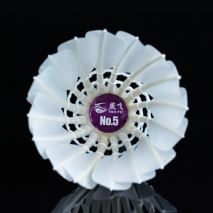 Wholesale customized high quality entertainment training level durable duck feather badminton shuttlecock