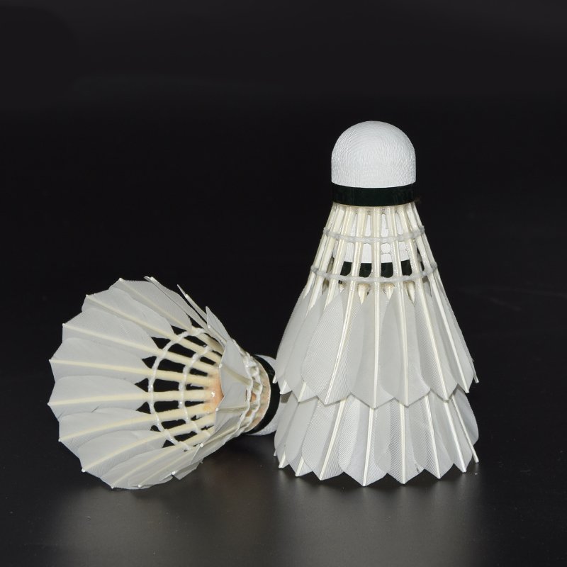 China Manufacturer Wholesale Training Tournament Produce Badminton Print Sample Wholesale AS09 Training Machine