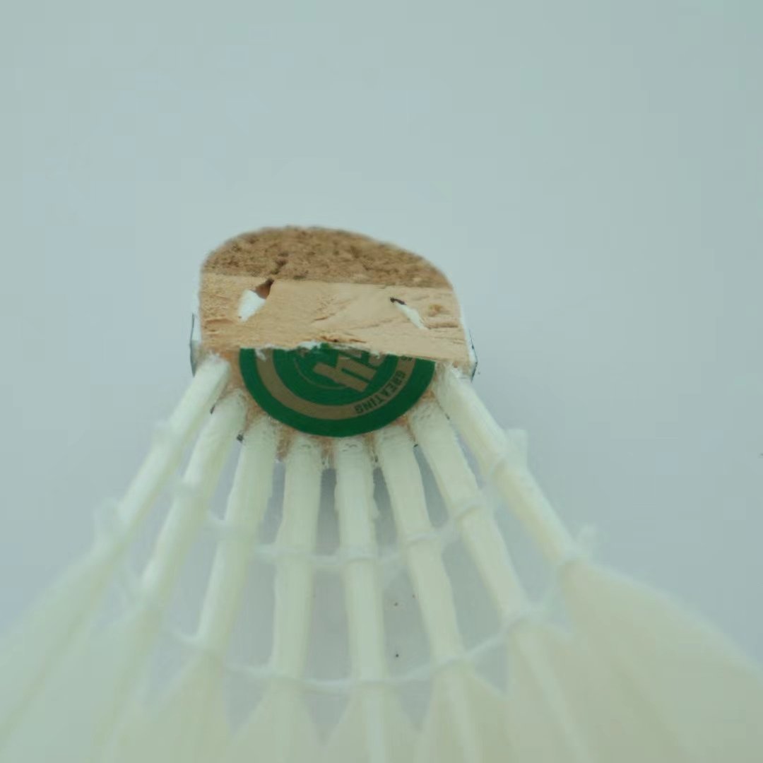 Professional training shuttlecock Class B shuttlecock for badminton