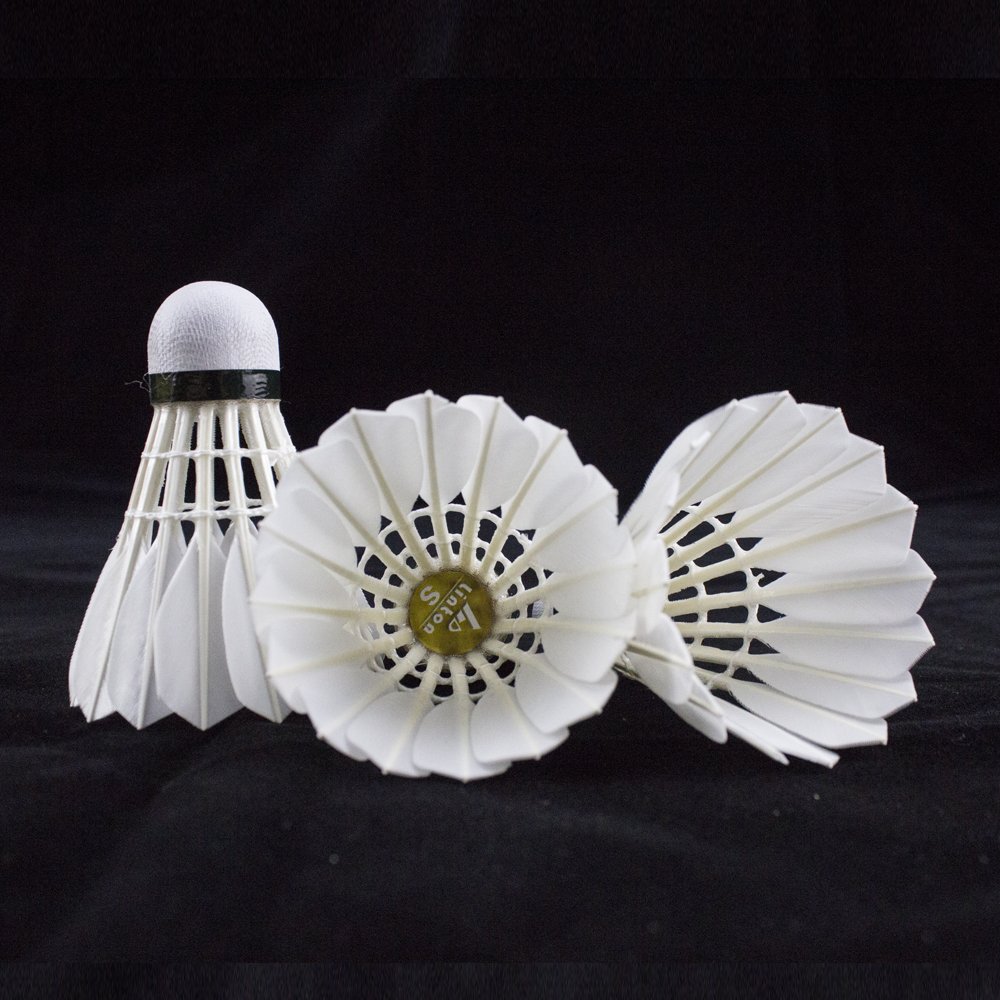 Linton brand new badminton manufacturer sale goose shuttlecock