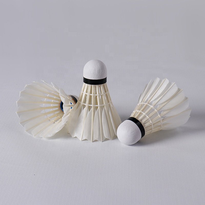 Honkoo Durable White Goose Feather Aeroplane Tournament Wholesale Badminton Tube Shuttlecock For Training