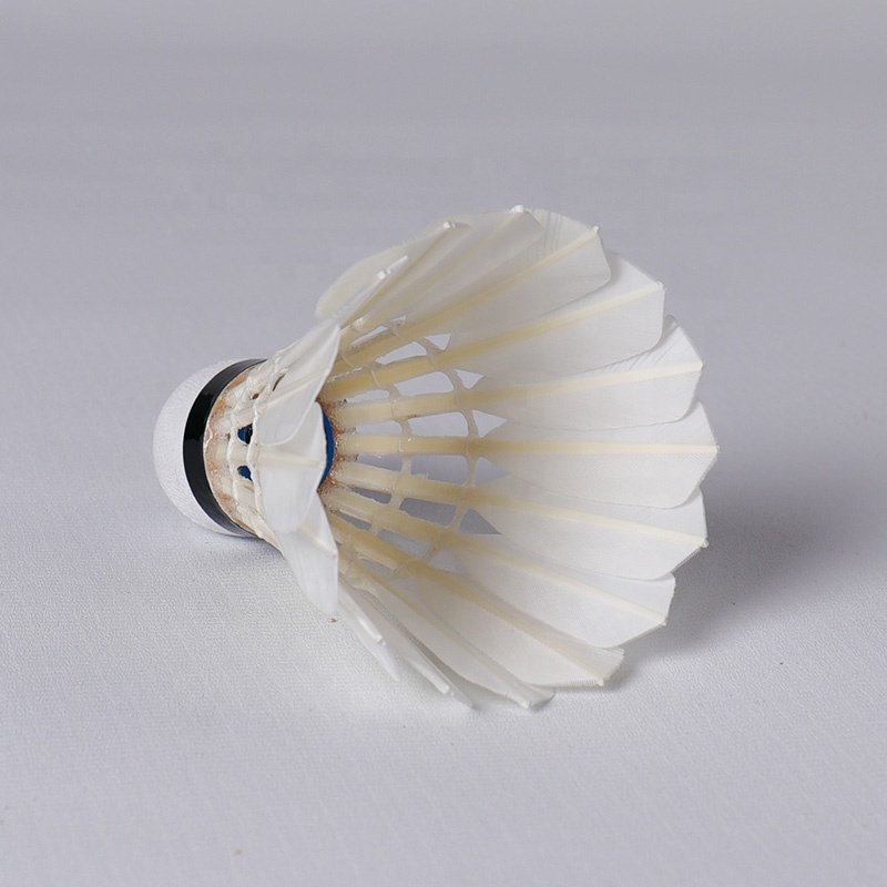 Honkoo Durable White Goose Feather Aeroplane Tournament Wholesale Badminton Tube Shuttlecock For Training